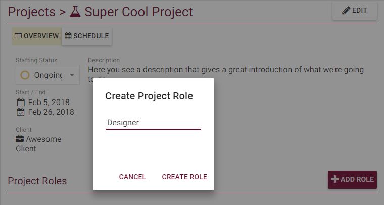 Creating a Project Role