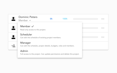 New Feature: Project Permissions